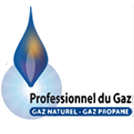 Logo Professionnel du gaz naturel